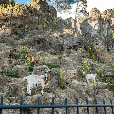 Cafe Pension Leistner Obertrubach Zewnętrze zdjęcie